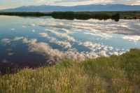  Cartago Springs and Inyo Range