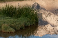  Cartago Springs and Sierra Reflection