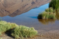  Cartago Springs and Sierra Reflection