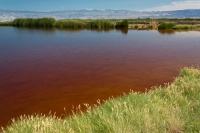  Cartago Springs with Beak Trails and Inyo Range